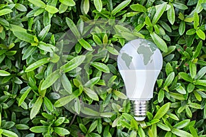 Energy saving LED Bulb with lighting in the green nature backgr photo