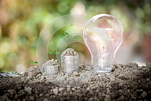 Energy saving light bulb and coin stacks with soil on top and tree are growing to show concept saving money