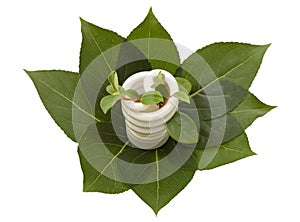 Energy saving light bulb on green leaves