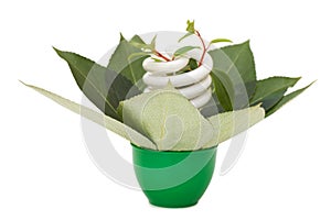 Energy saving light bulb on green leaves