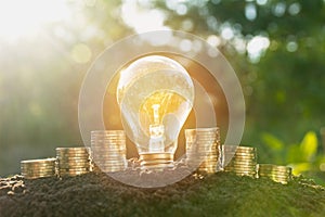 Energy saving light bulb and tree growing on stacks of coins