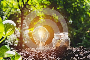 Energy saving light bulb and tree growing on stacks of coins