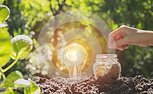 Energy saving light bulb and tree growing on stacks of coins