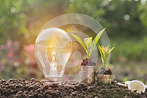 Energy saving light bulb and tree growing on stacks of coins