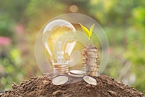 Energy saving light bulb and tree growing on stacks of coins on