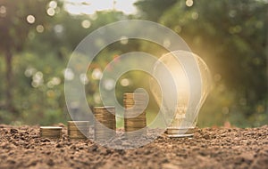 Energy saving light bulb and tree growing on stacks of coins