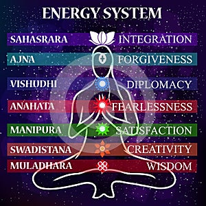 Energy scheme of human body