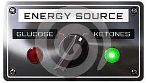 Energy Source: Ketones / Glucose