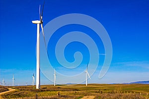 Energy Windmills In Open Field