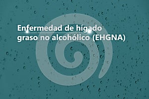 Enfermedad de hÃÂ­gado graso no alcohÃÂ³lico EHGNA - DiagnÃÂ³stico y tratamiento, lista de comprobaciÃÂ³n mÃÂ©dica. Fondo texturizado photo