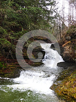 Enfield gorge trail waterfall Robert H. Treman New York State Park