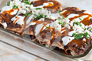 Enfrijoladas, Vegetarian Mexican Cuisine, Typical Antojitos Easy Meals photo