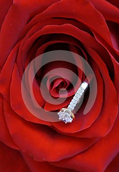 Engagement photo