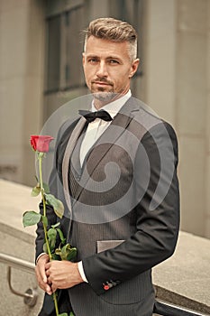 engagement concept. grizzle tuxedo man celebrating engagement. man with rose gift for engagement