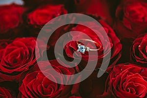 The engagement proposal rose bouquet