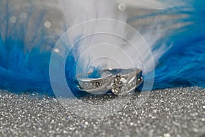 Engagement Ring and feathers