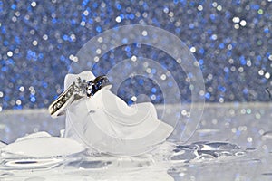 Engagement Ring on ice