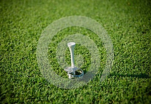 Engagement Ring and Wedding Ring on a Golf Tee