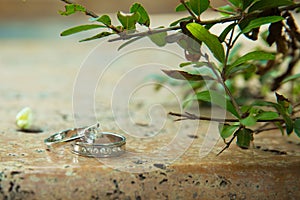 Engagement rings in nature, green background. Love story. Wedding rings on a beautiful leaf branch background. On marble and stone