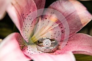 Engagement Rings In Pink Flower