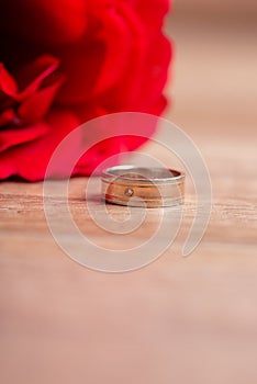 Engagement or wedding ring lying next to a red rose