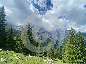 Engalm Valley at Karwendel mountains in Austria