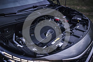 Engine Bay In a Car