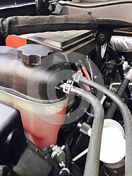 Engine Compartment Power Steering Reservoir