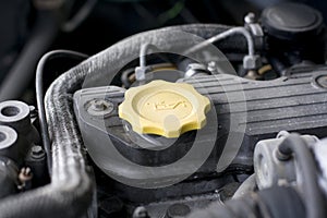 Engine oil cap