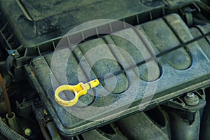 Engine oil dip stick in a car.