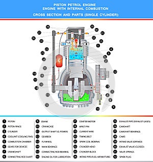 Piston petrol engine, structural cross section in basic design