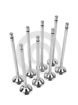 Engine Valves on white