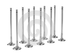 Engine Valves on white