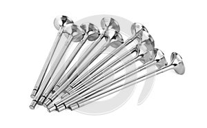 Engine Valves on white