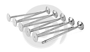 Engine Valves on white