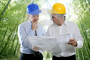 Engineer architect two expertise team plan forest