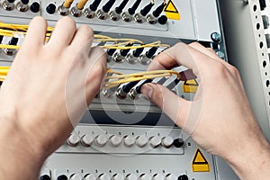 Engineer hold fiber optic patch cords photo