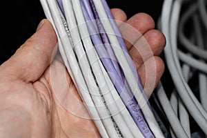 Engineer holding a bunch of ethernet cables.