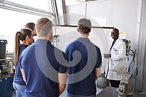 Engineer instructing apprentices at white board, back view photo
