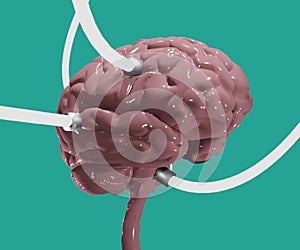 engineering human brain for artificial brain surgeries