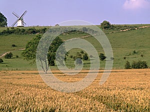 England, Buckinghamshire, windmill