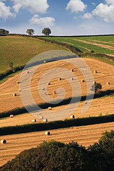 England, countryside during harvest