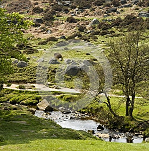 England derbyshire peak district national park