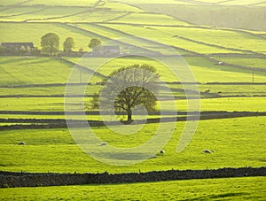 England derbyshire peak district national park