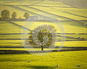 England derbyshire peak district national park