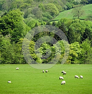 England derbyshire peak district national park