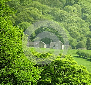 England derbyshire peak district national park matlock