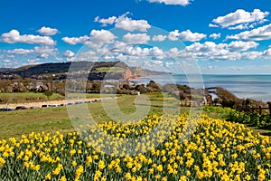 Sidmouth, Dorset, England