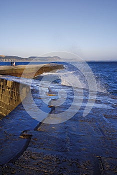 england dorset lyme regis harbour jurassic coast the cobb harbour photo