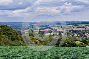 England lush pastures and farmlands in the United Kingdom. Beautiful English countryside with emerald green fields and meadows.